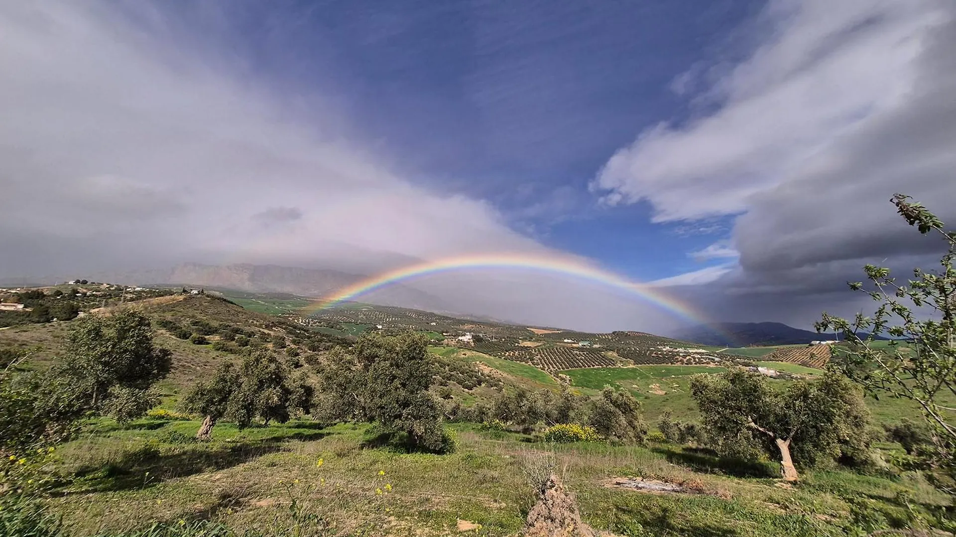 Finca Amorosa Villanueva de la Concepción Nocleg ze śniadaniem