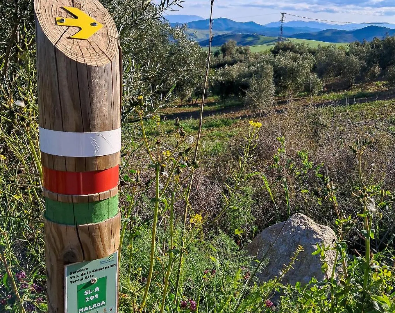 Nocleg ze śniadaniem Finca Amorosa Villanueva de la Concepción